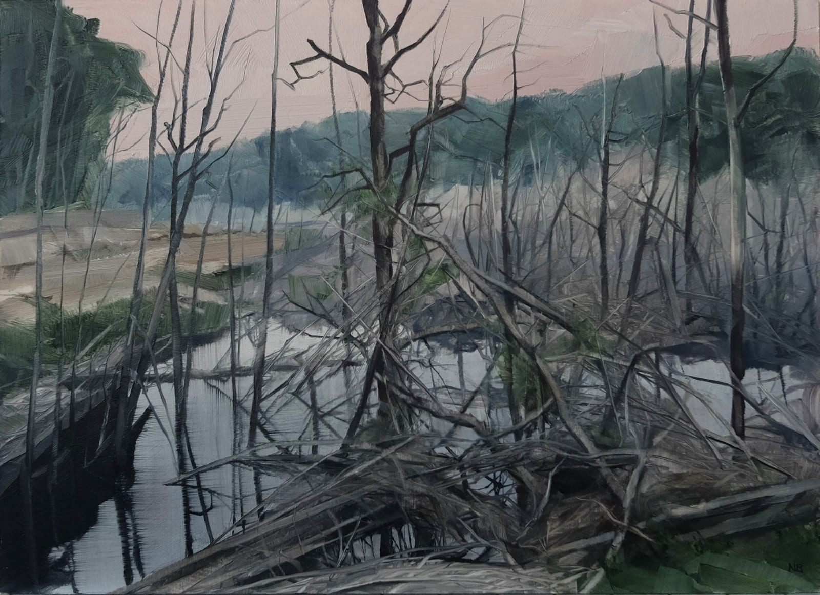 Nicholas Blowers, Savage Pond VIII Study, 2018