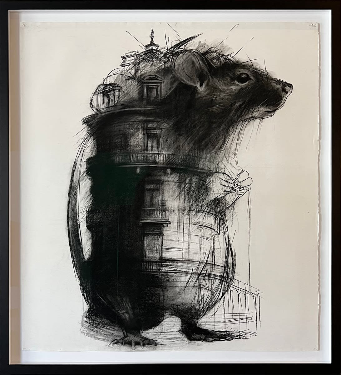 Jody Graham, House Rat, 2022