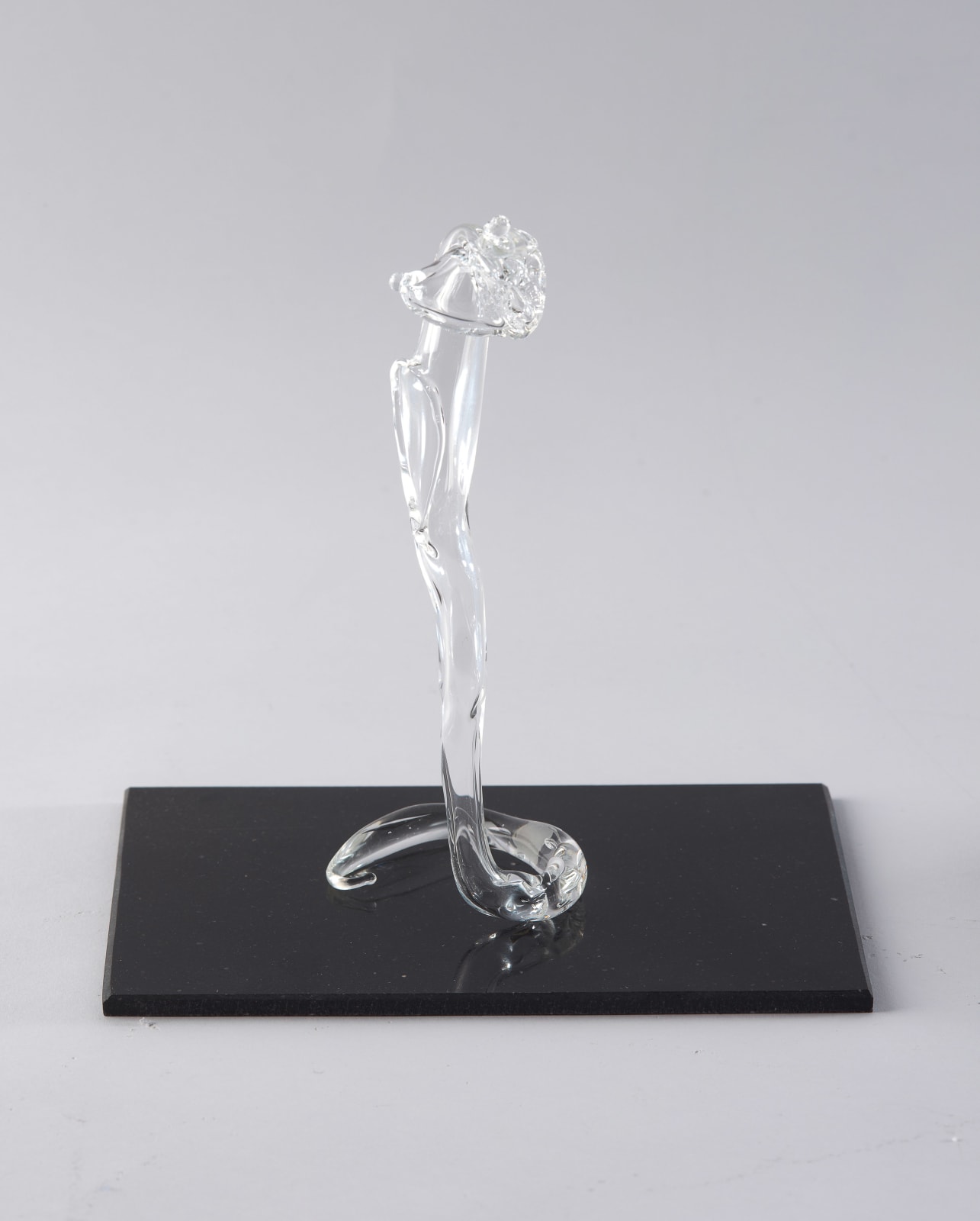 Floria Tosca, Cabinet of Trusted Cures #5, 2024-25