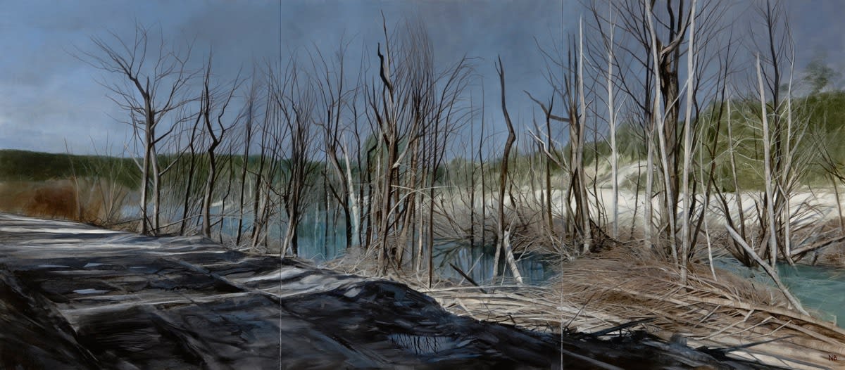 Nicholas Blowers, Cold Shadows, Track Edge, Savage River Tailing Ponds , 2015