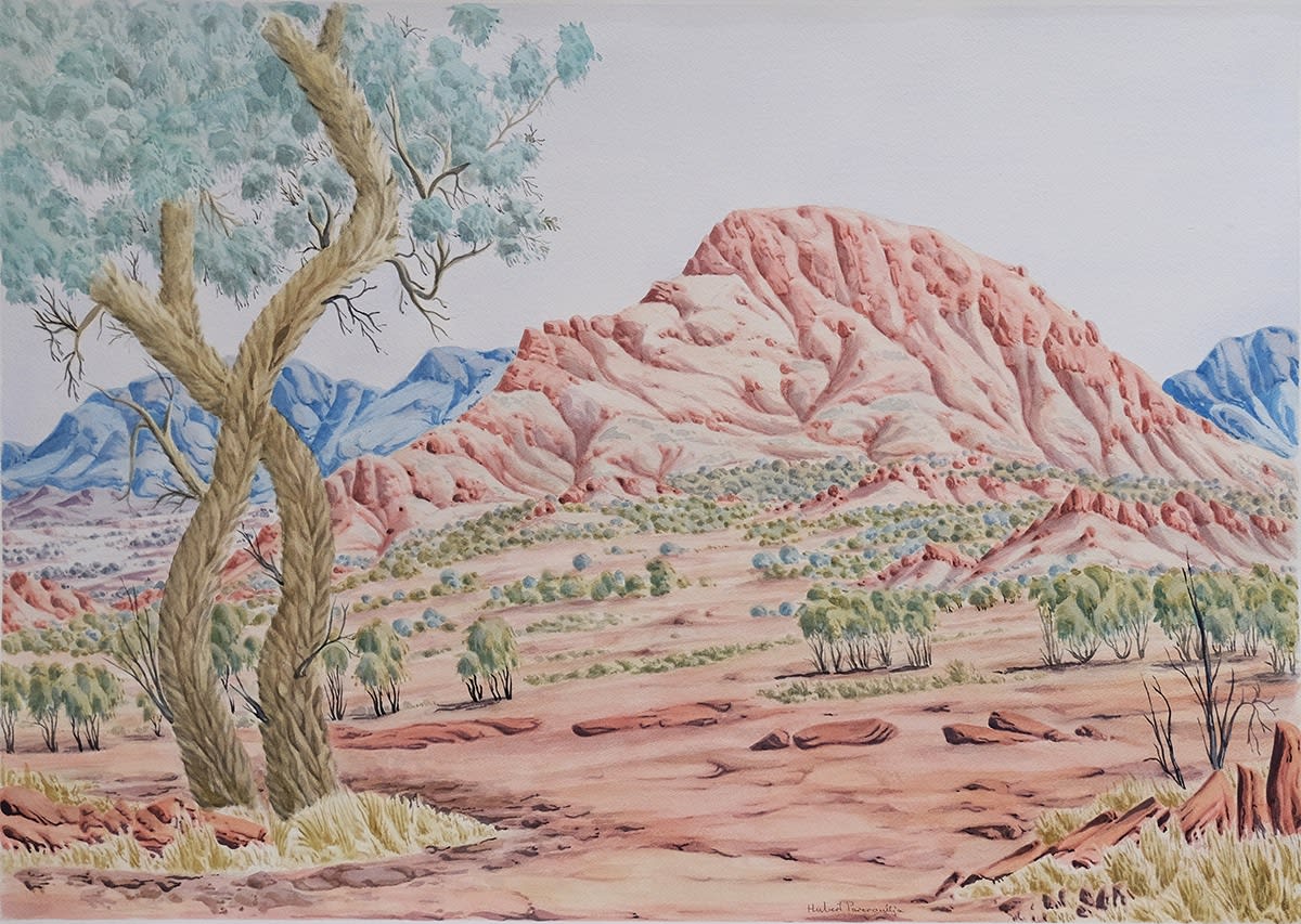 Kumantji (Hubert) Pareroultja, Corkwood Tree at Mount Giles, NT (Cat no:334-22), 2022