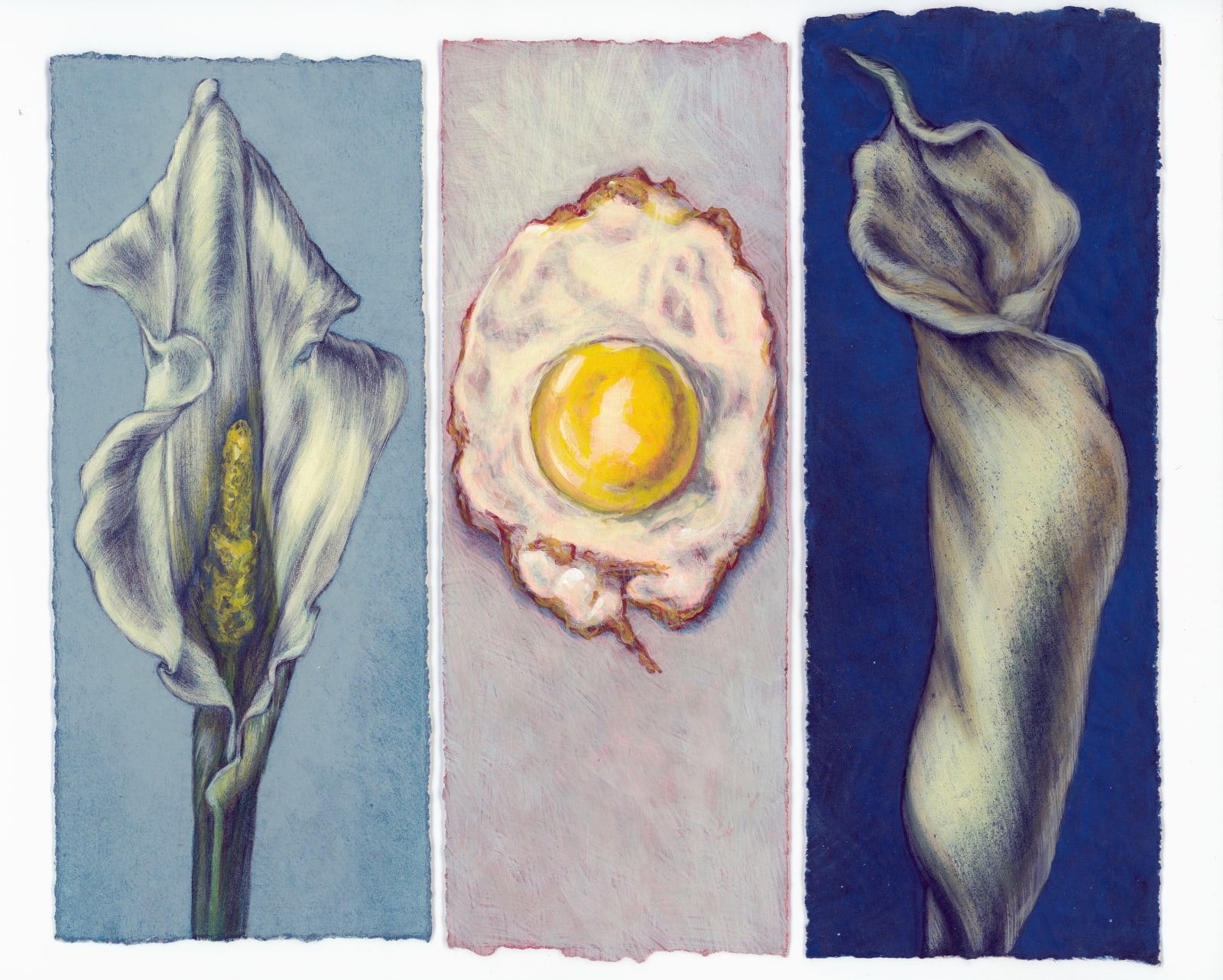 Kim Spooner, An eclectic arrangement, 2025