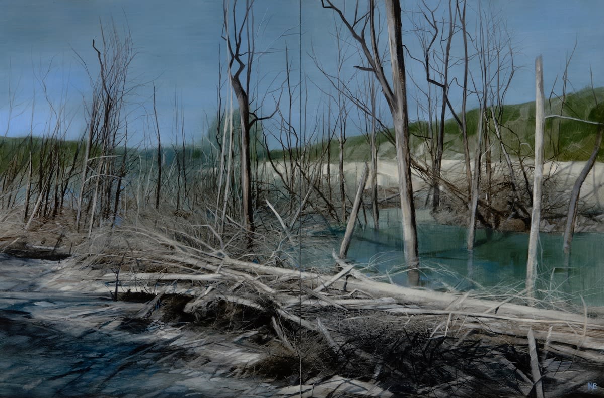 Nicholas Blowers, Late Afternoon, Track Edge, Savage River Tailing Ponds , 2015