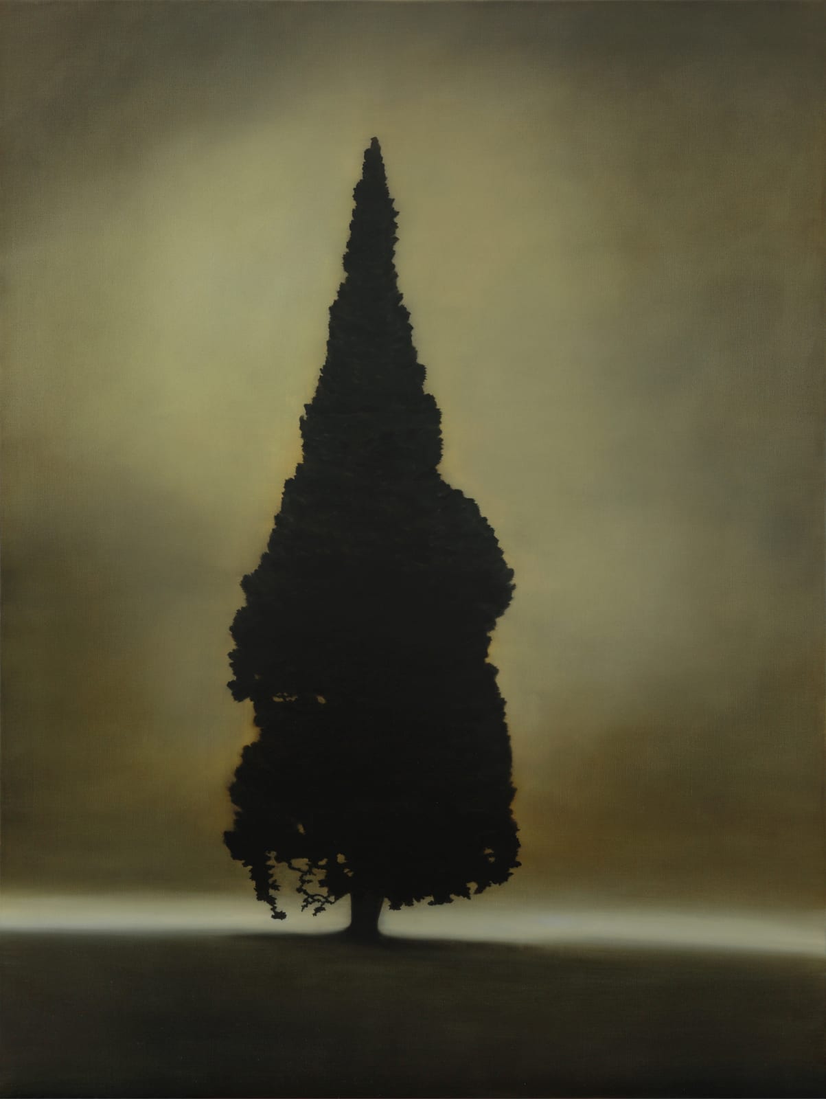 Kathryn Ryan, Presence , 2018