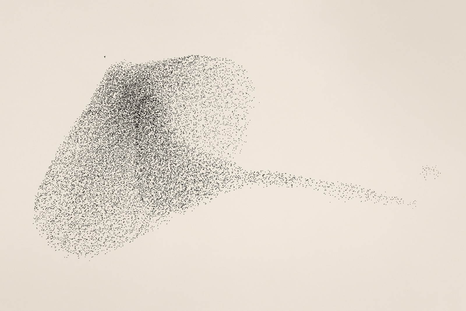 Søren Solkær, Black Sun #13, 2020