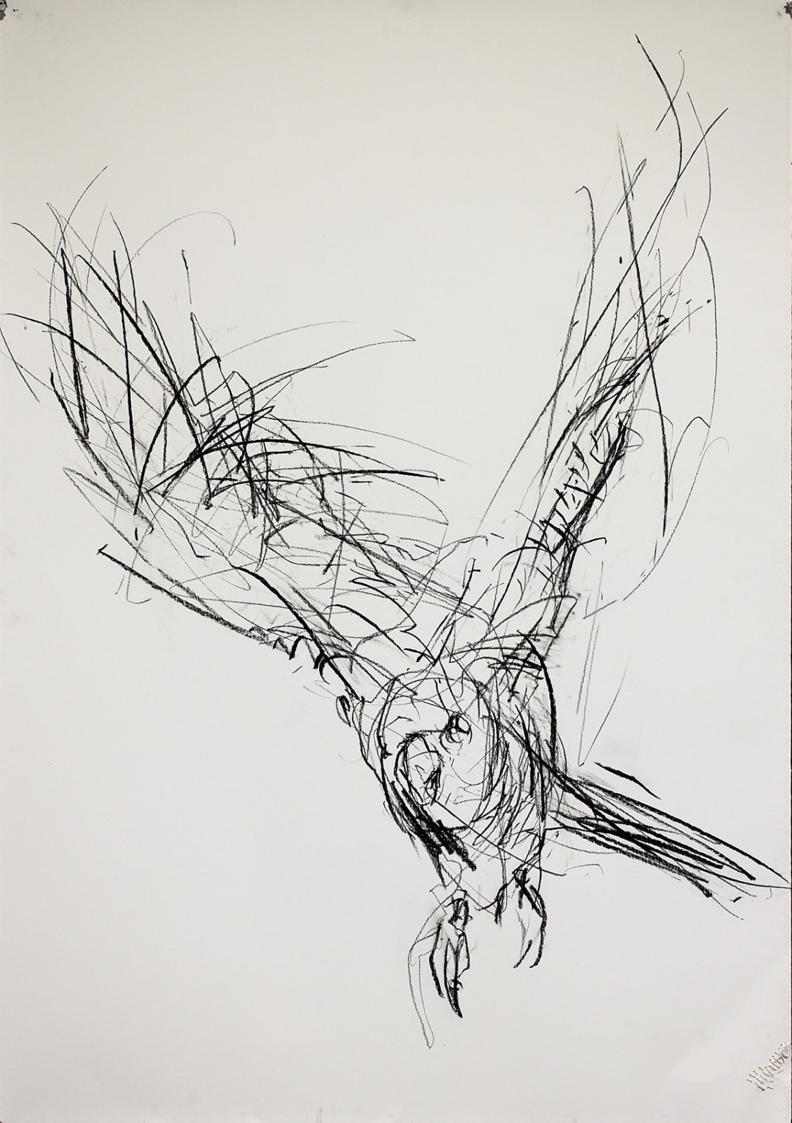 Jody Graham, Flight, 2024