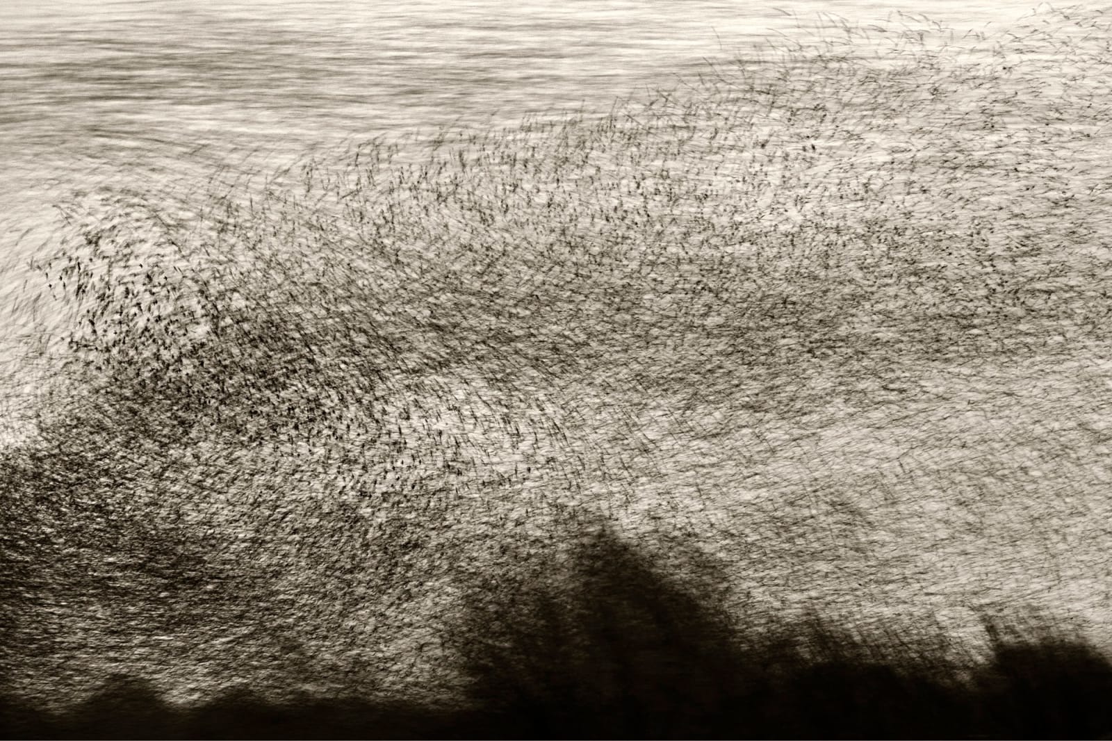 Søren Solkær, Black Sun #53, 2020