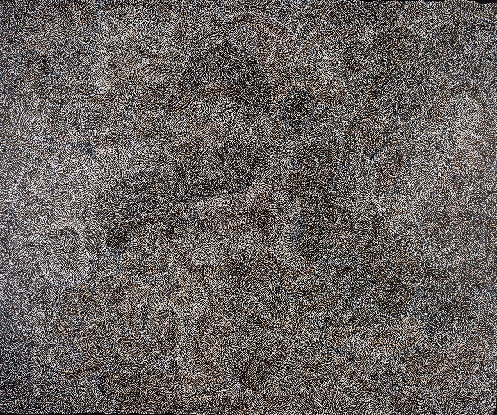 Jorna Newberry, Ngintaka Perentie, (JNKM18822), 2022