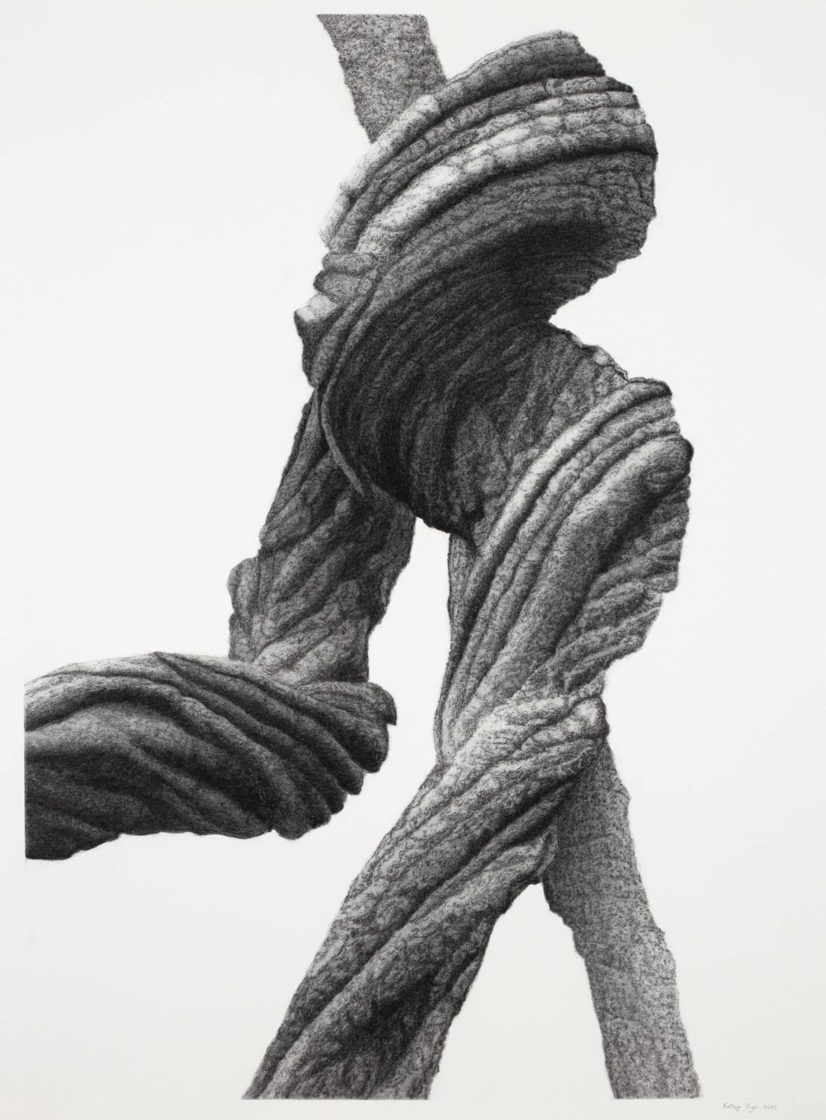 Kathryn Ryan, Intertwined III, 2025