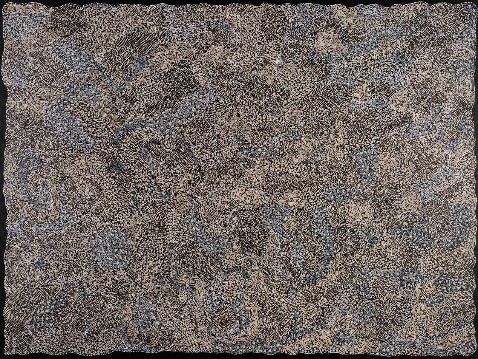 Jorna Newberry, Ngintaka Perentie, (JNKM 7), 2022