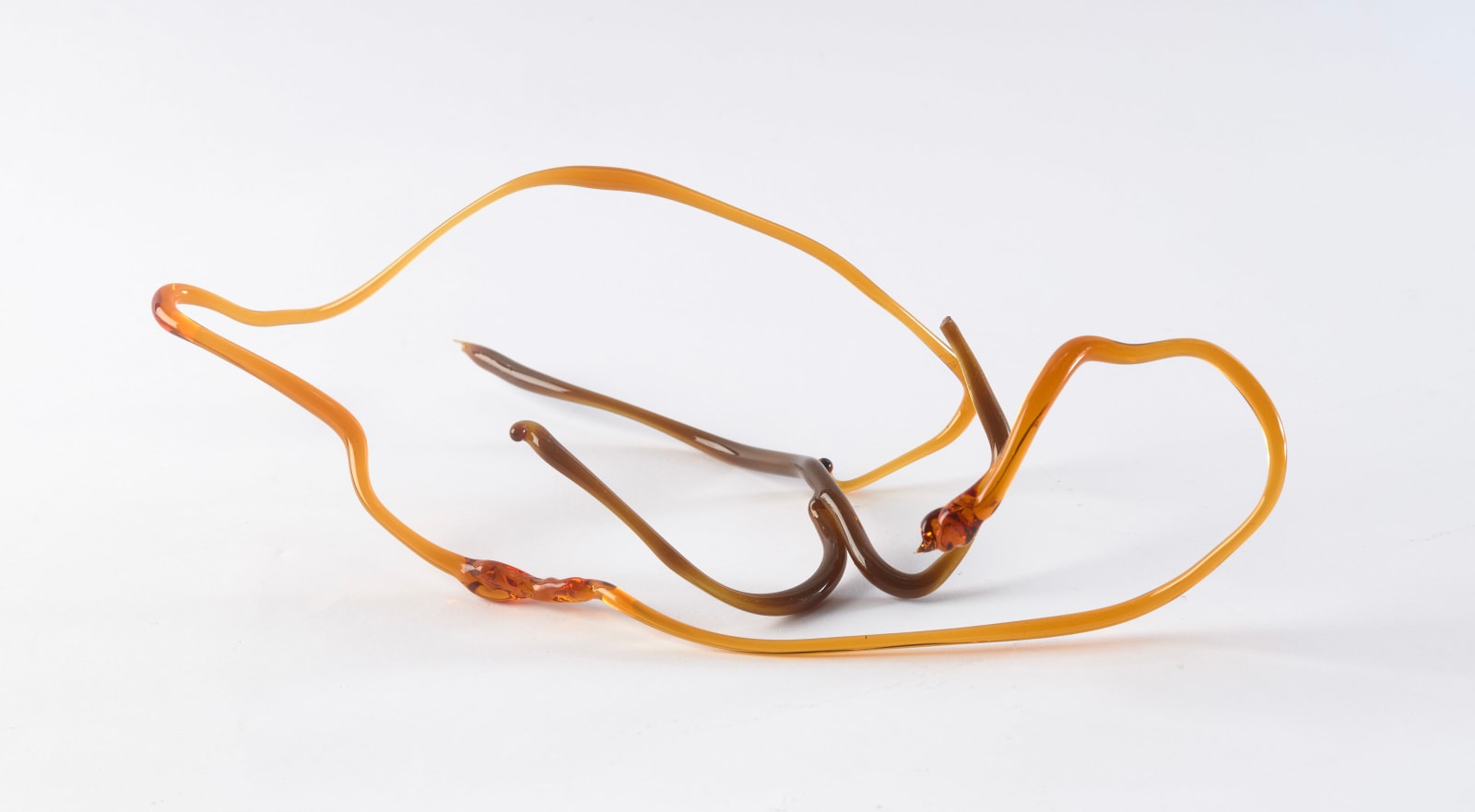 Floria Tosca, Cabinet of Trusted Cures #4, 2024-25