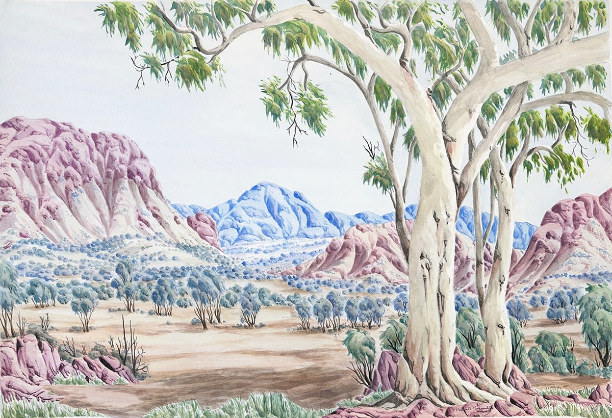 Kumantji (Hubert) Pareroultja, Uruna Tjina, James Range, NT Central Australia, 2023