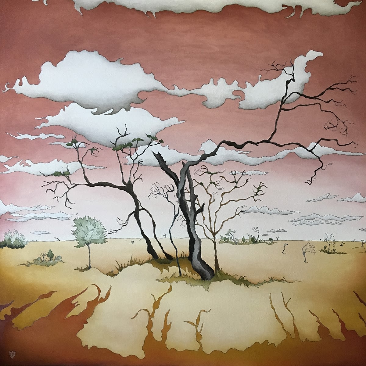 Caroline Zilinsky, Tangled Veins of the Hay Plains, 2021