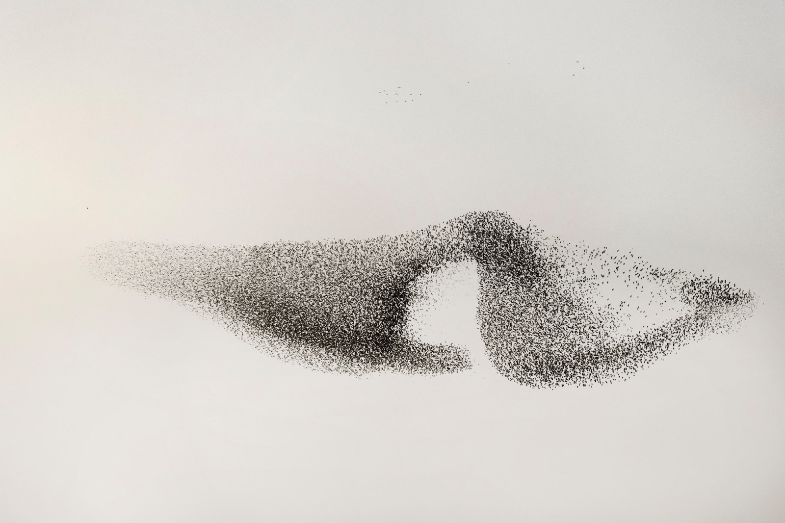 Søren Solkær, Black Sun #18, 2020