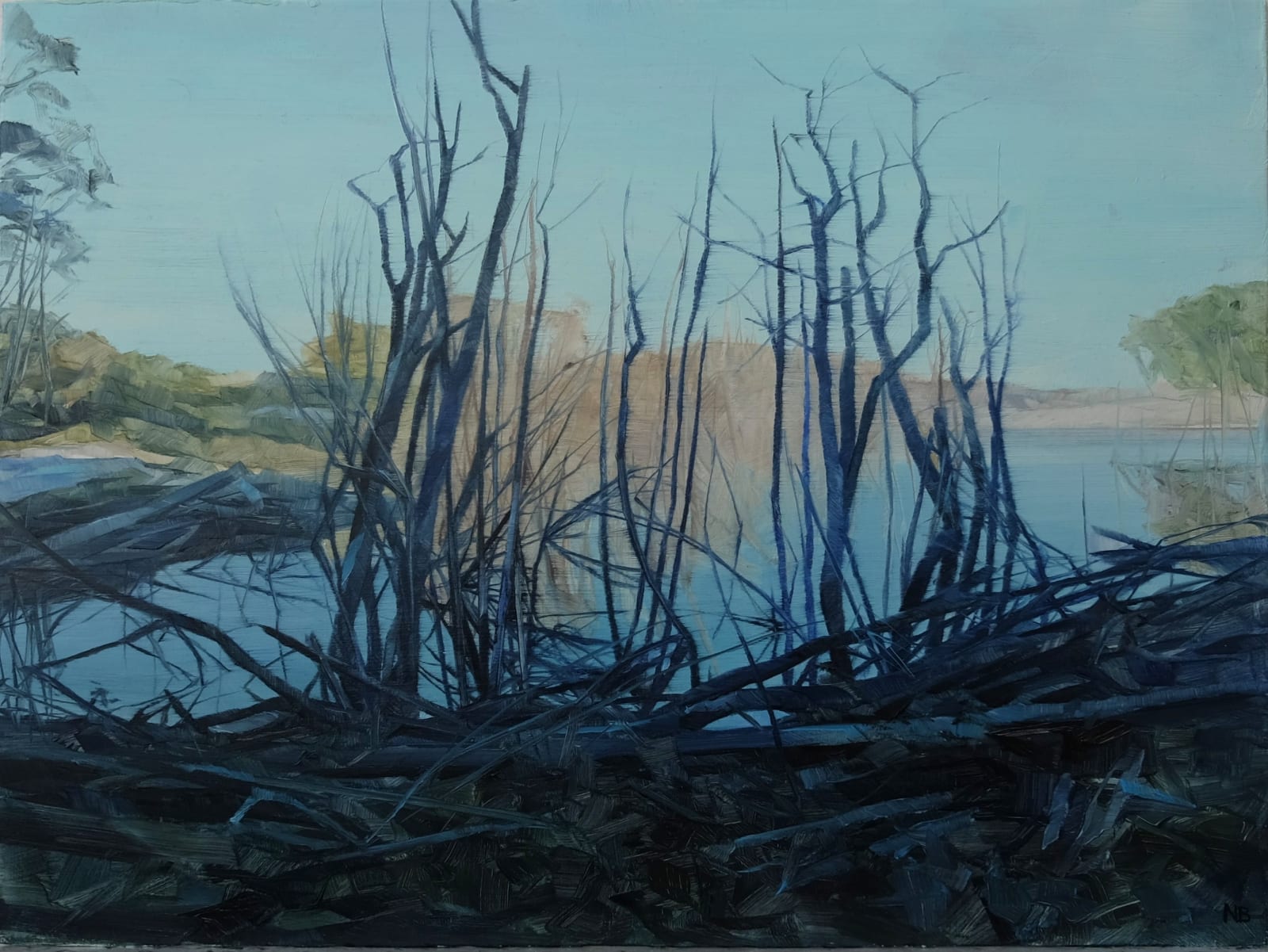 Nicholas Blowers, Savage Pond Study II, 2018