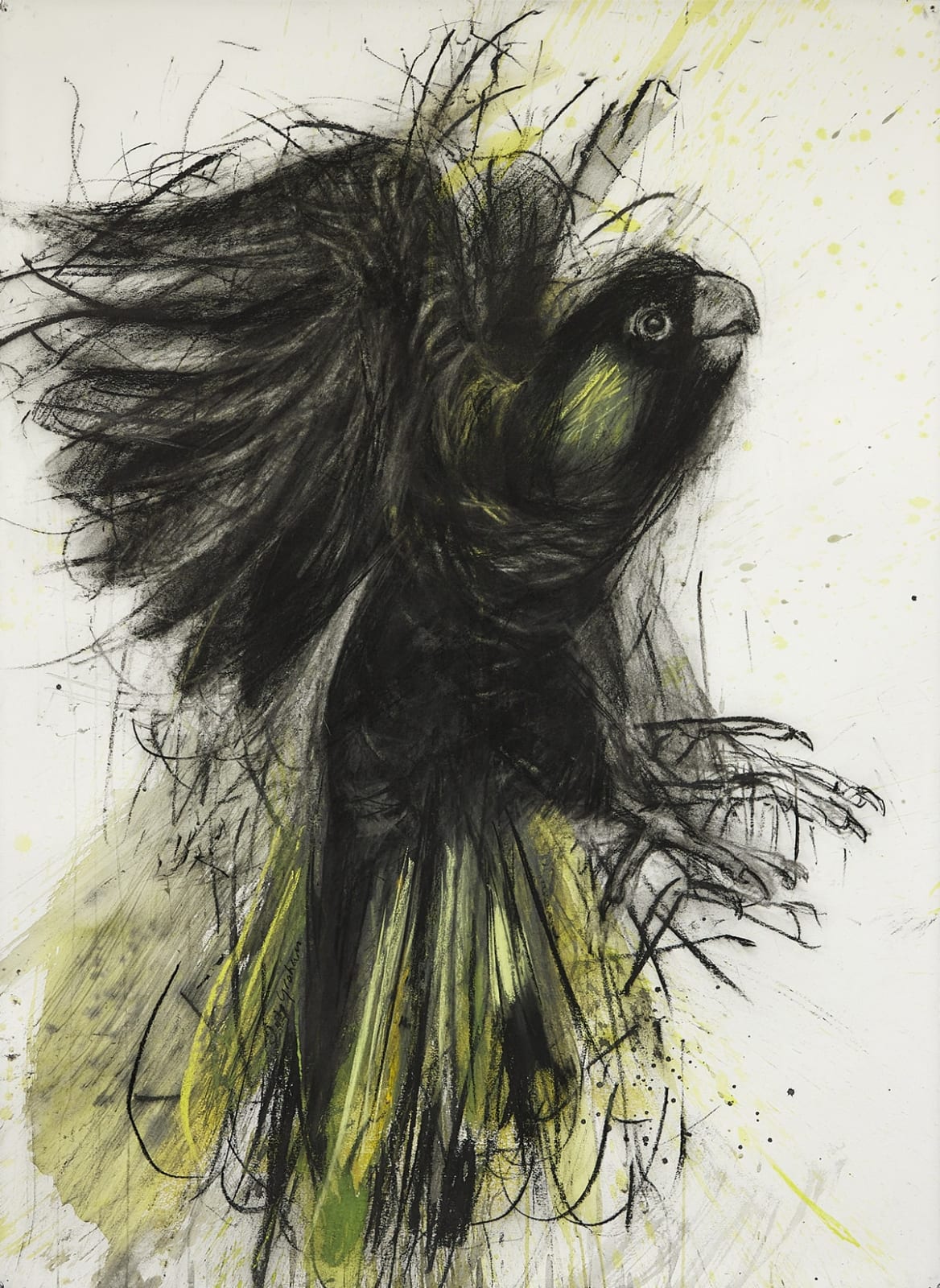 Jody Graham, The Guardian 1, 2024