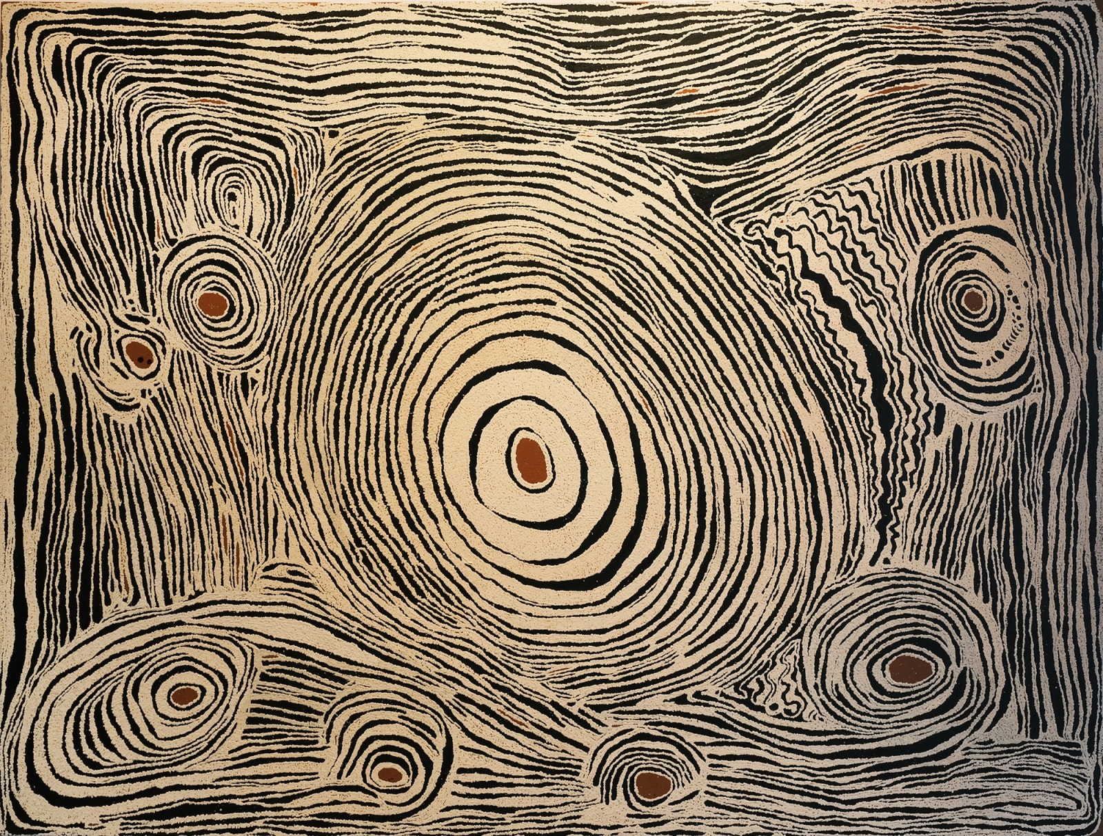 Nyurapayia Nampitjinpa, Punkilpirri, 2009