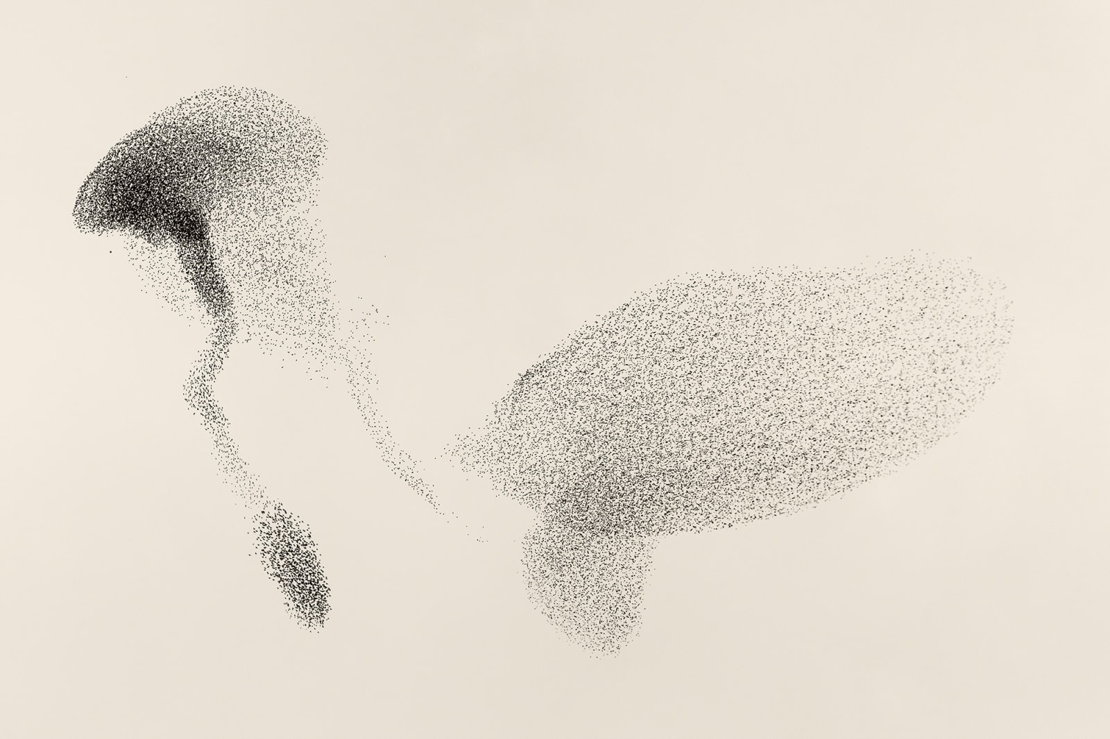 Søren Solkær, Black Sun #14, 2020