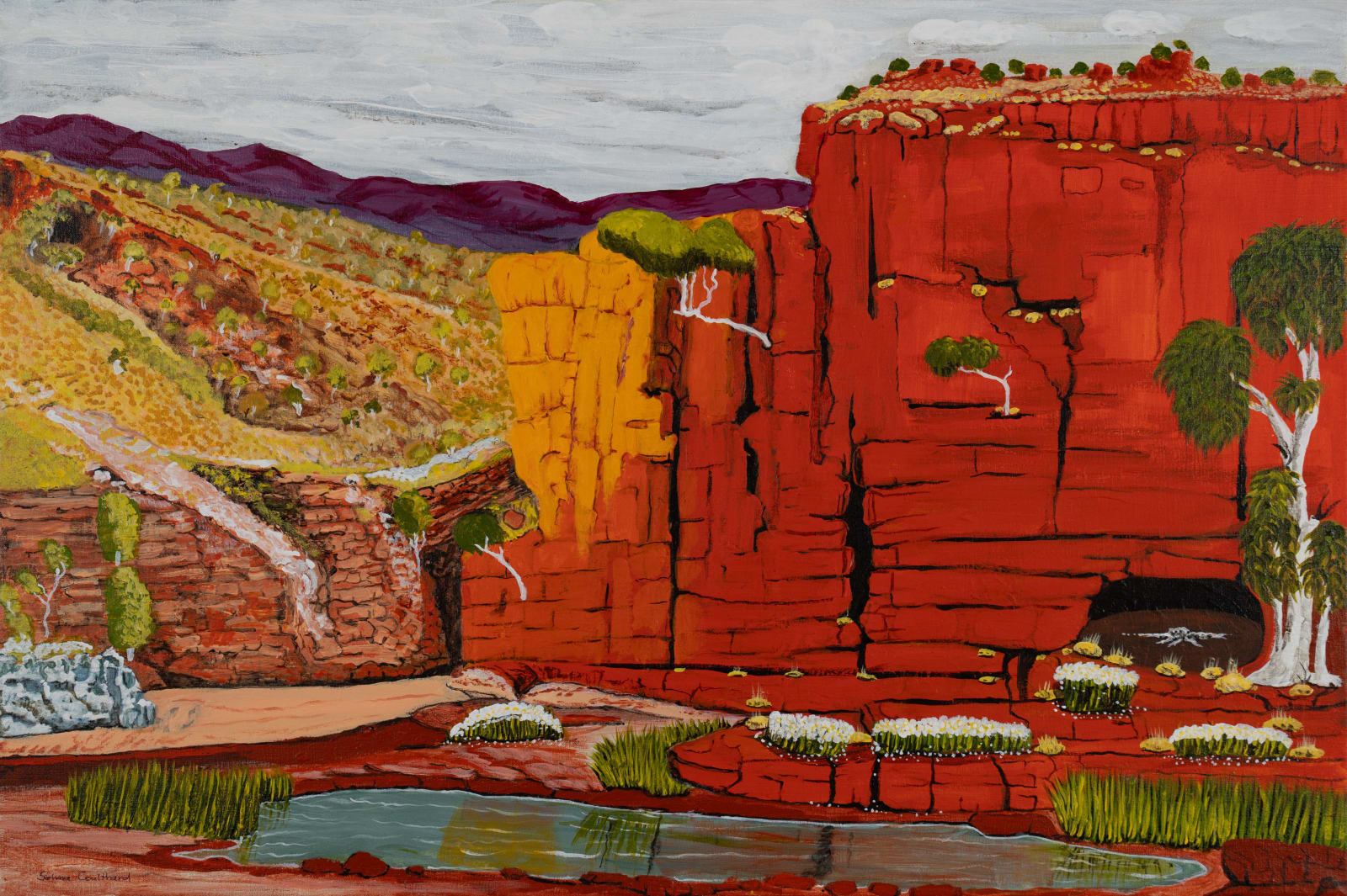 Selma Coulthard, Waterhole Tempe Downs, 2025