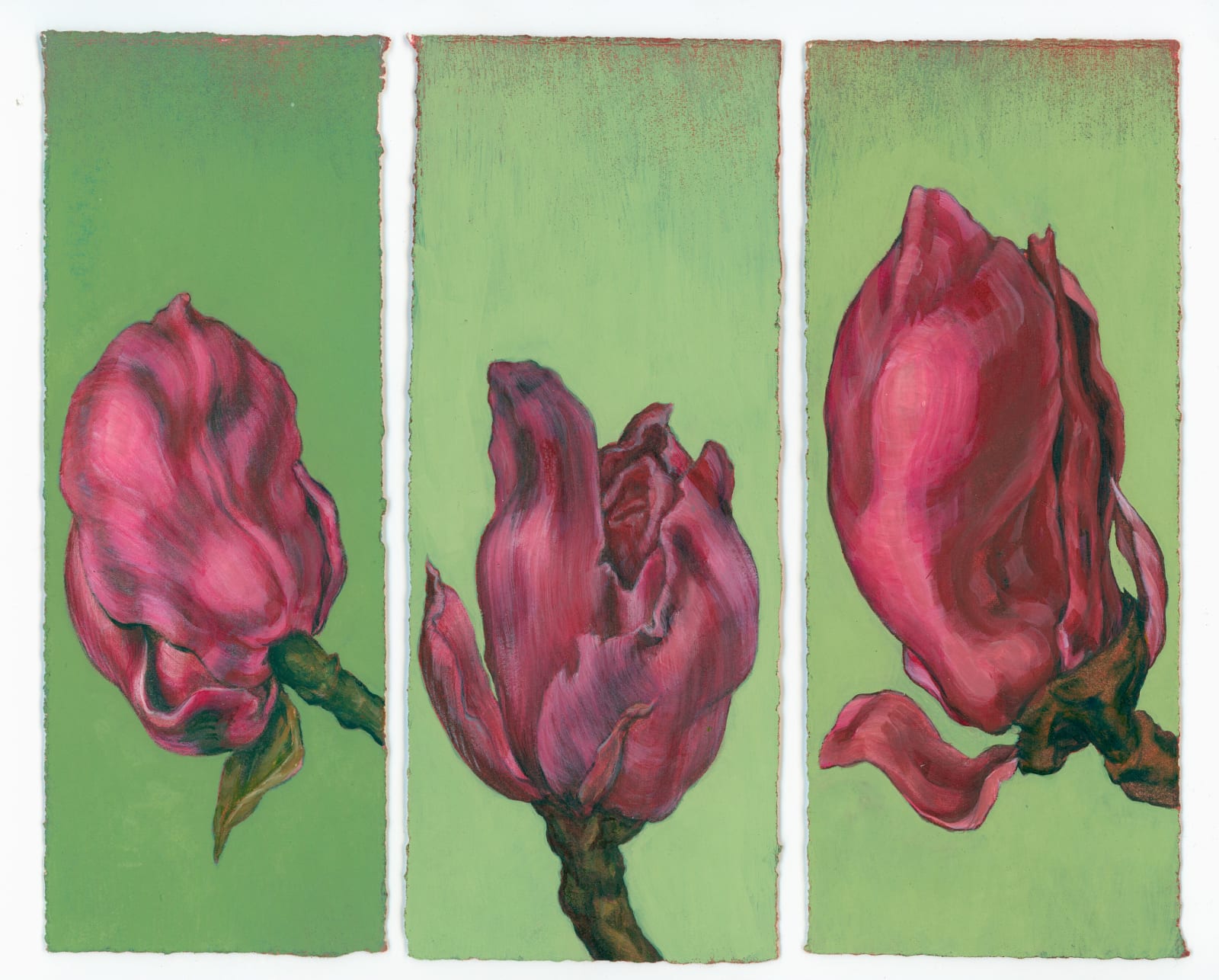 Kim Spooner, Her love of colour was indulged, 2025