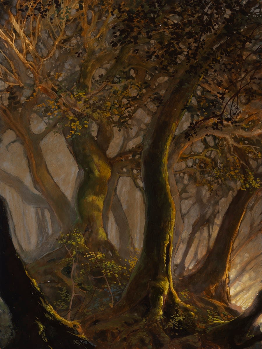 Jason Cordero, The Garden Who's Name Is Not Known, 2024