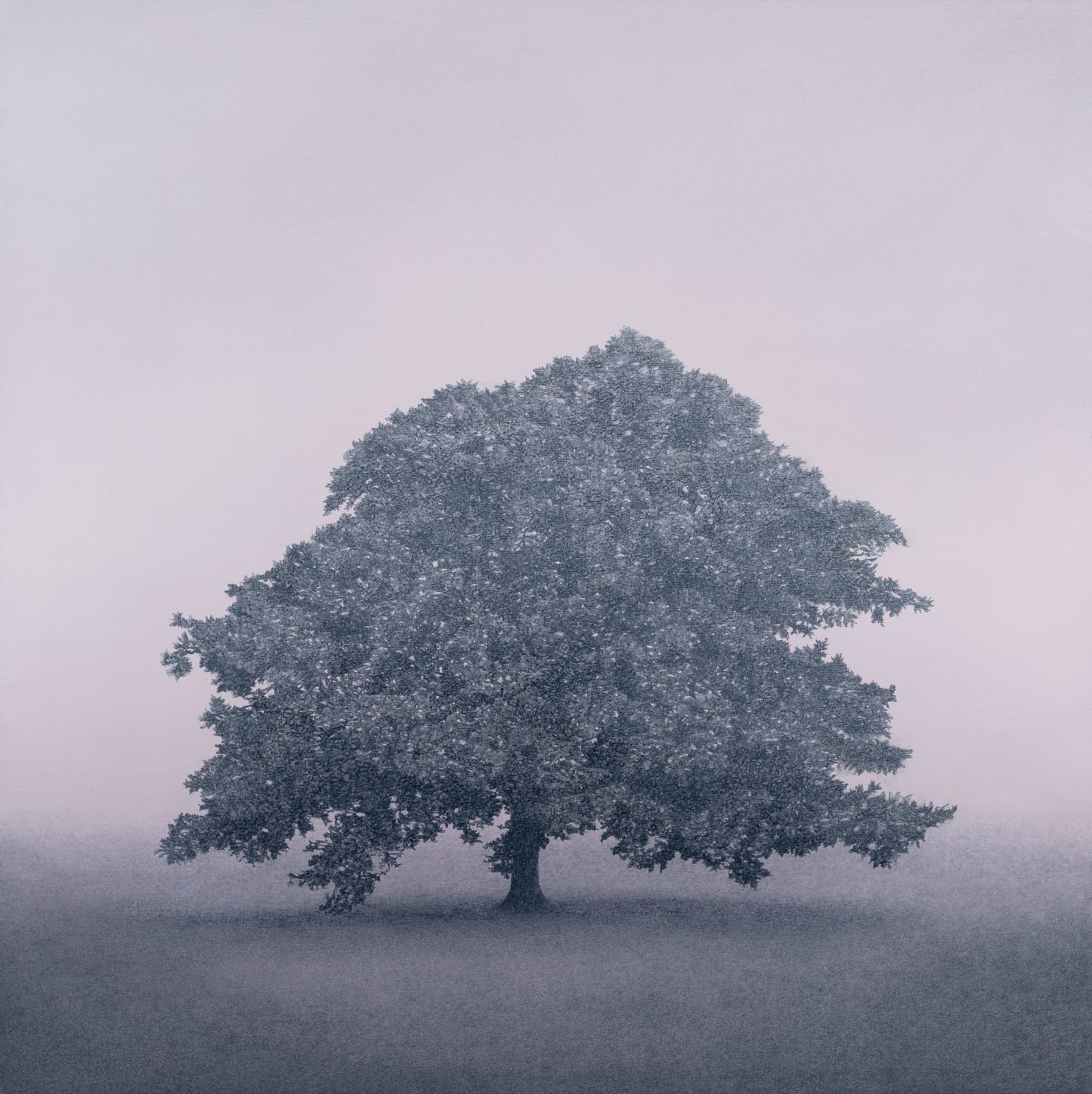 Kathryn Ryan, Still Light, 2023