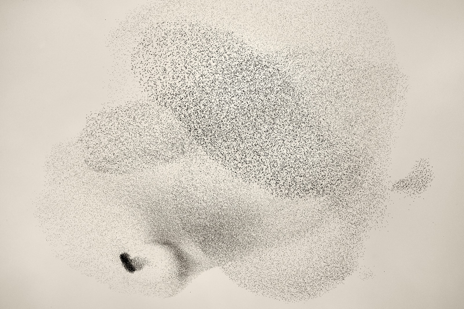 Søren Solkær, Black Sun #69, 2020