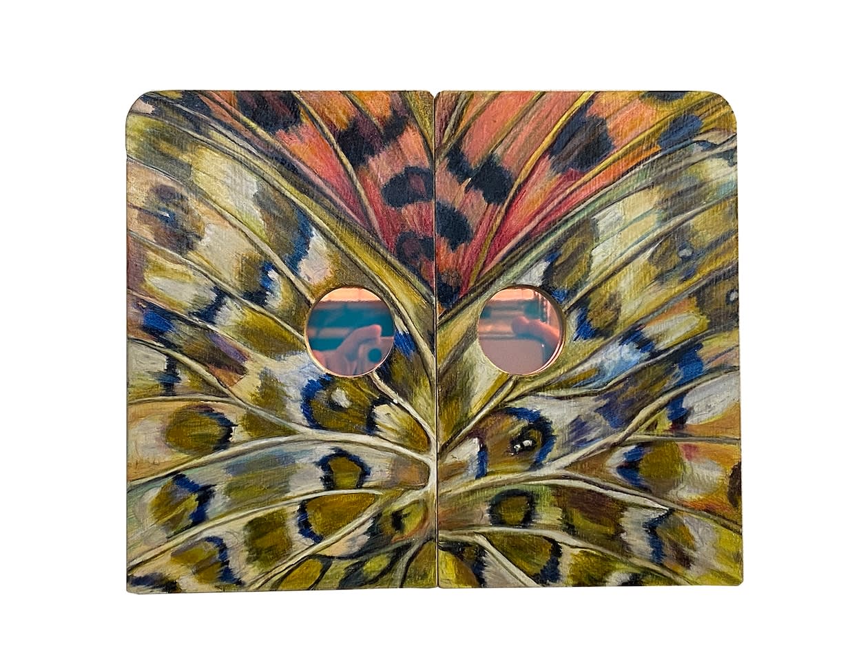 Floria Tosca, Lepidoptera viola (female), 2023