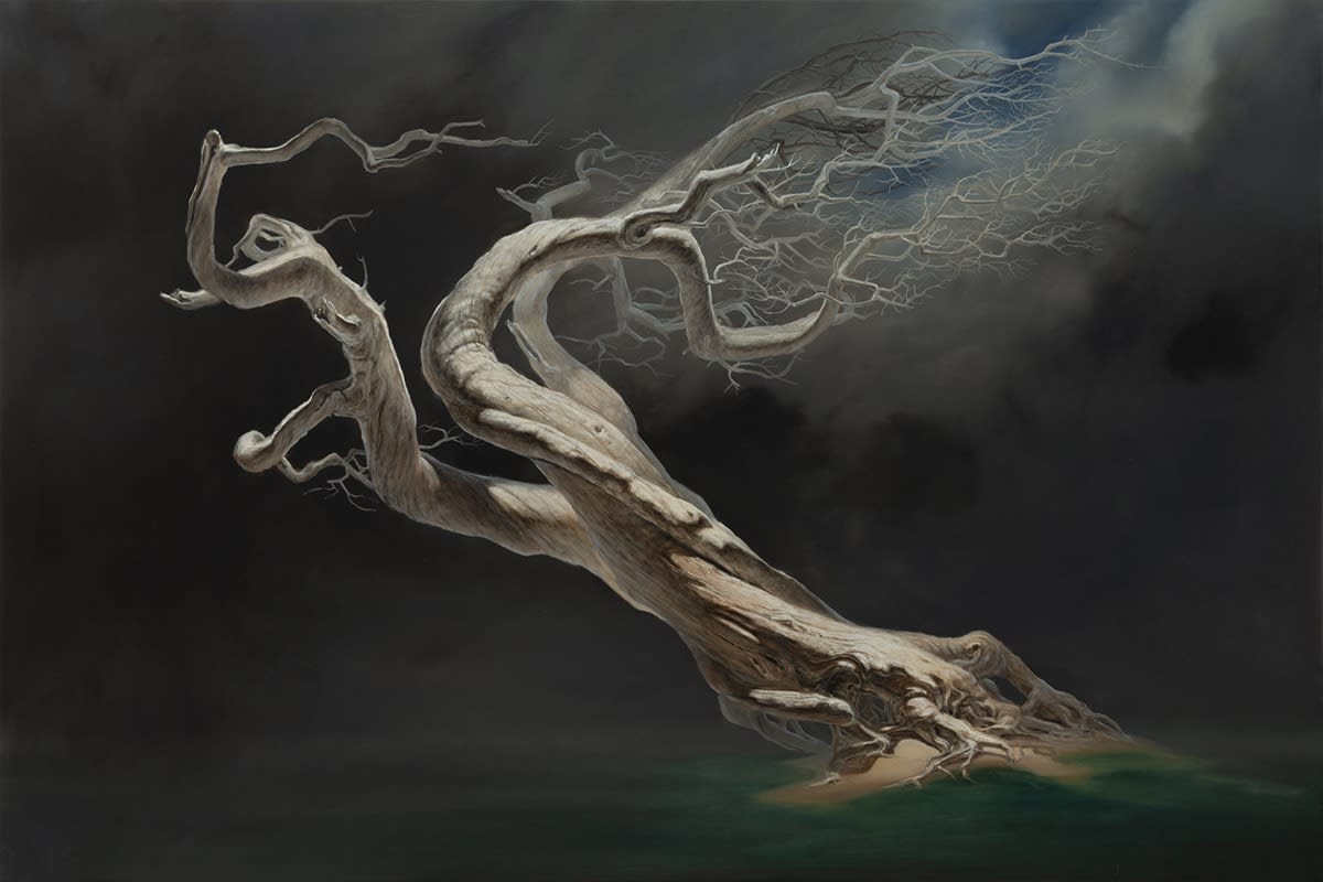 Jason Cordero, As Erebus Eavesdropped, 2024