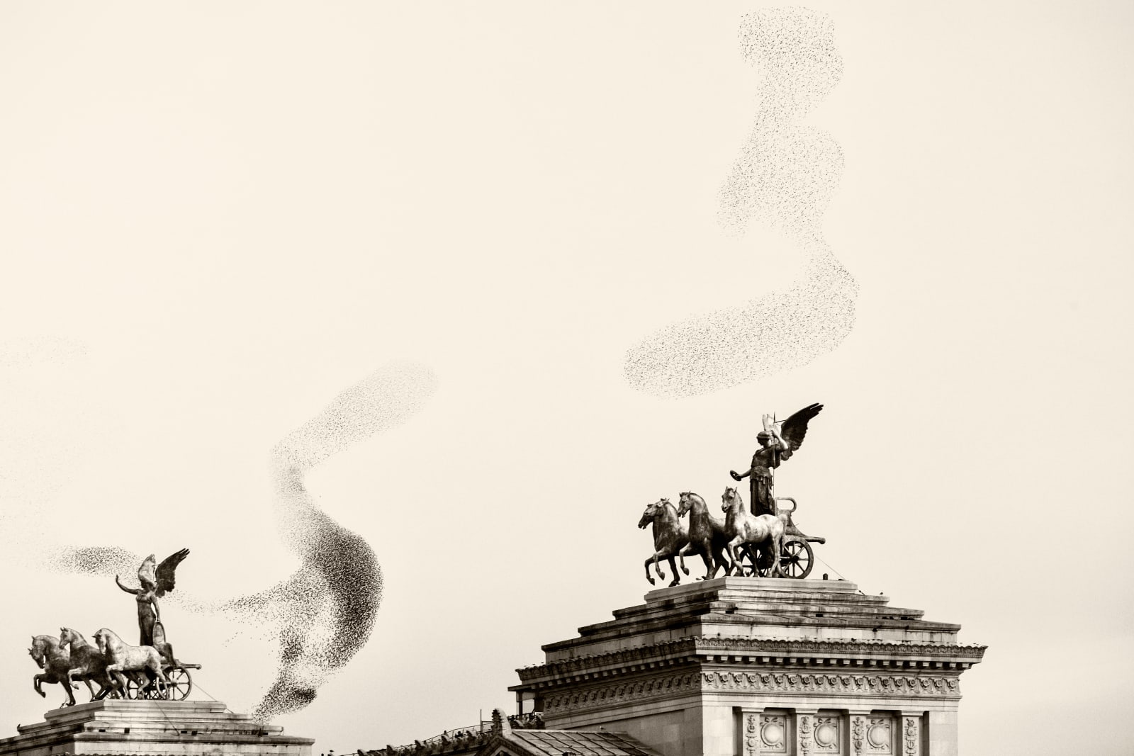 Søren Solkær, Black Sun #141, 2020