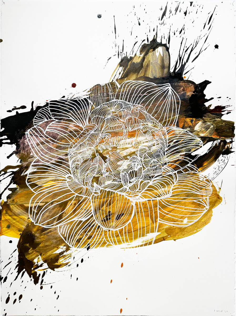 Floria Tosca, Lotus, 2024