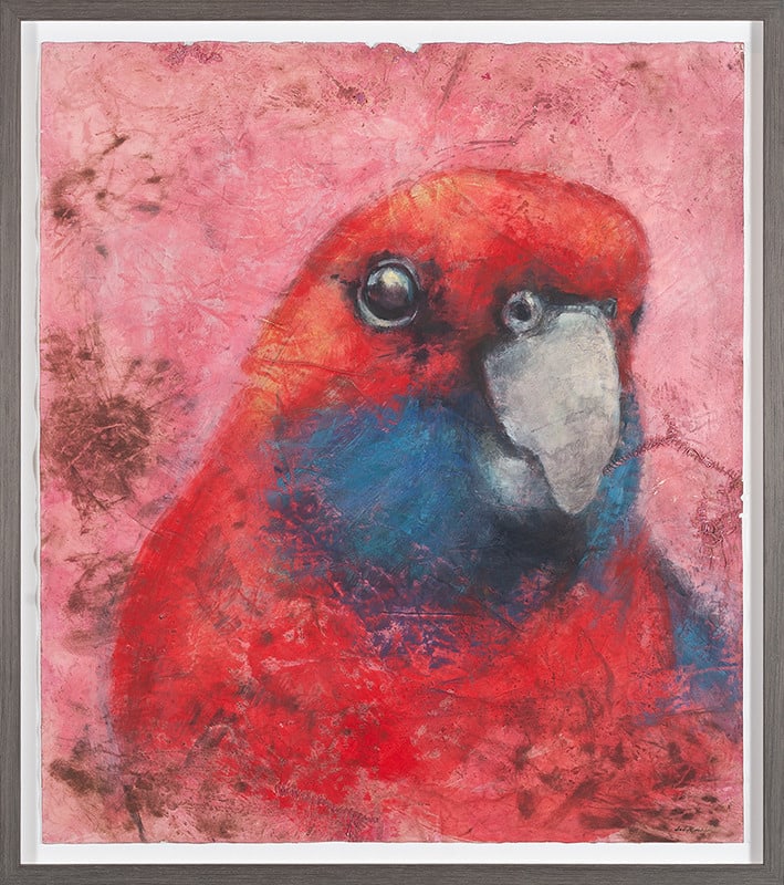 Jody Graham, Getting Pinked - Crimson Rosella, 2021
