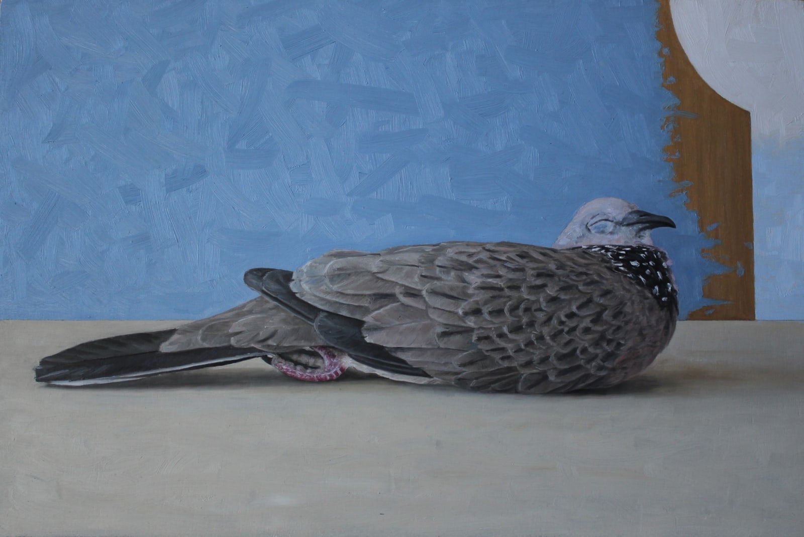 Andrew Sullivan, Dove, 2023