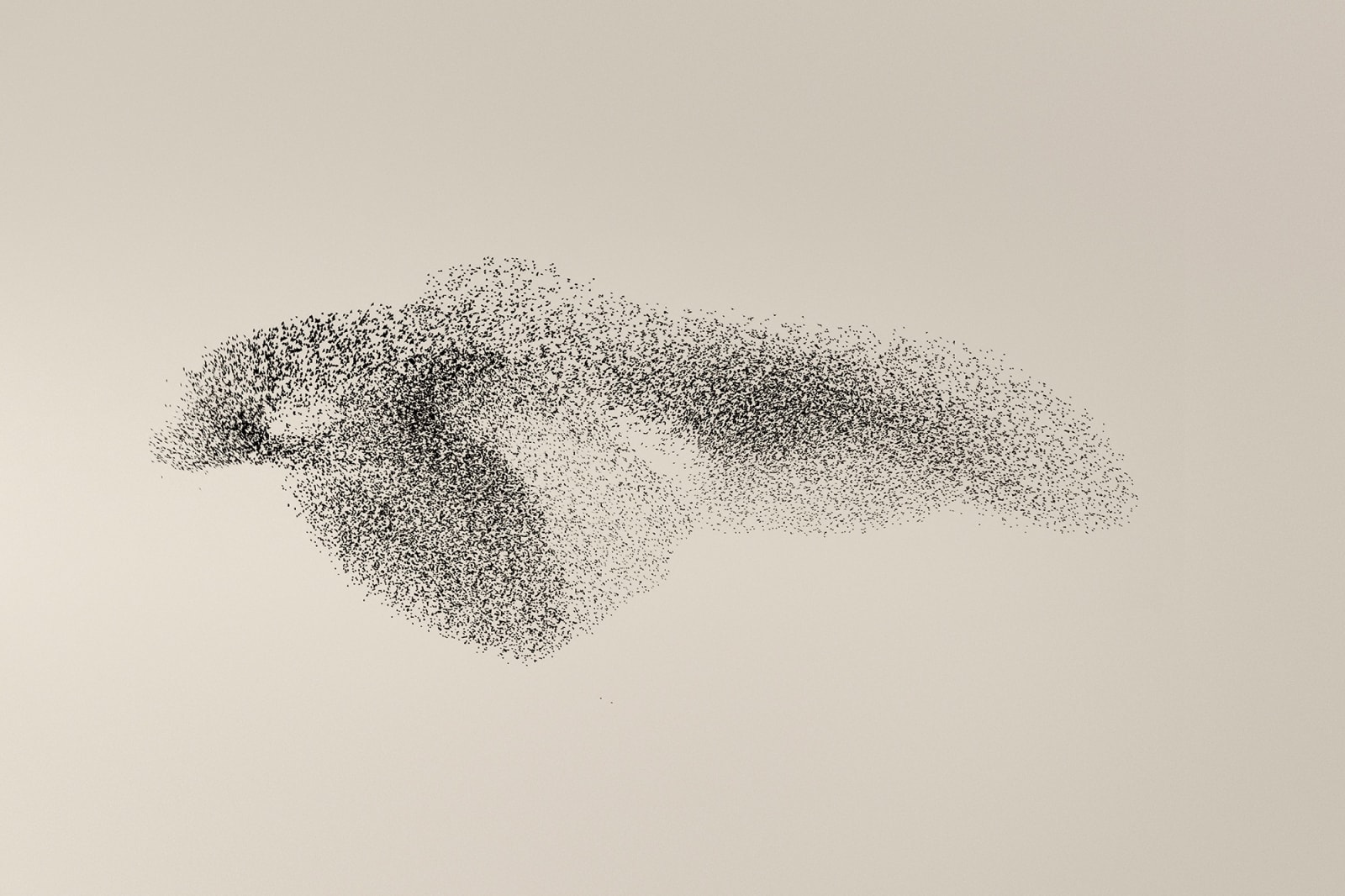 Søren Solkær, Black Sun #19, 2020