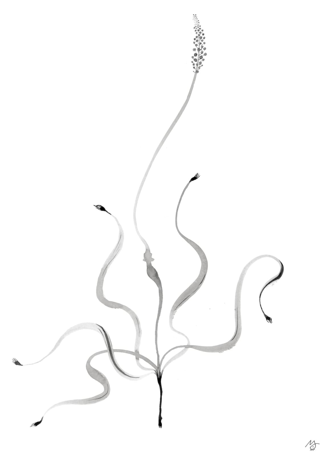 Meng Zhou 周蒙, Flower of Evil:Aromas 恶之花:芳, 2020