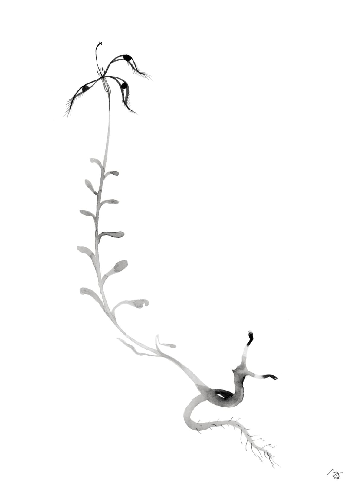 Meng Zhou 周蒙, Flower of Evil: Hibiscus 恶之花：芙, 2020