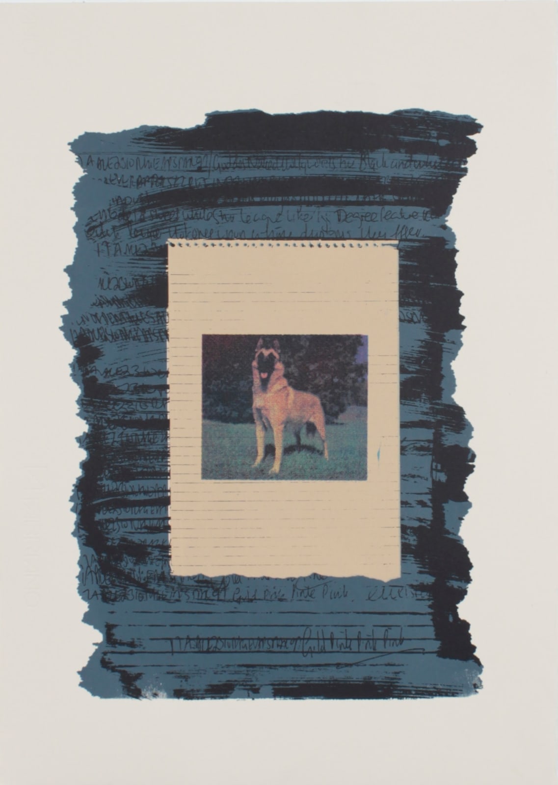 Henry Holder, Backed, 2018