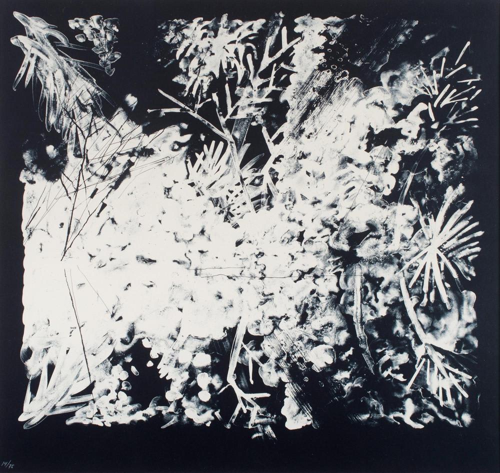 Peter Alexander, San Blas III, 1988