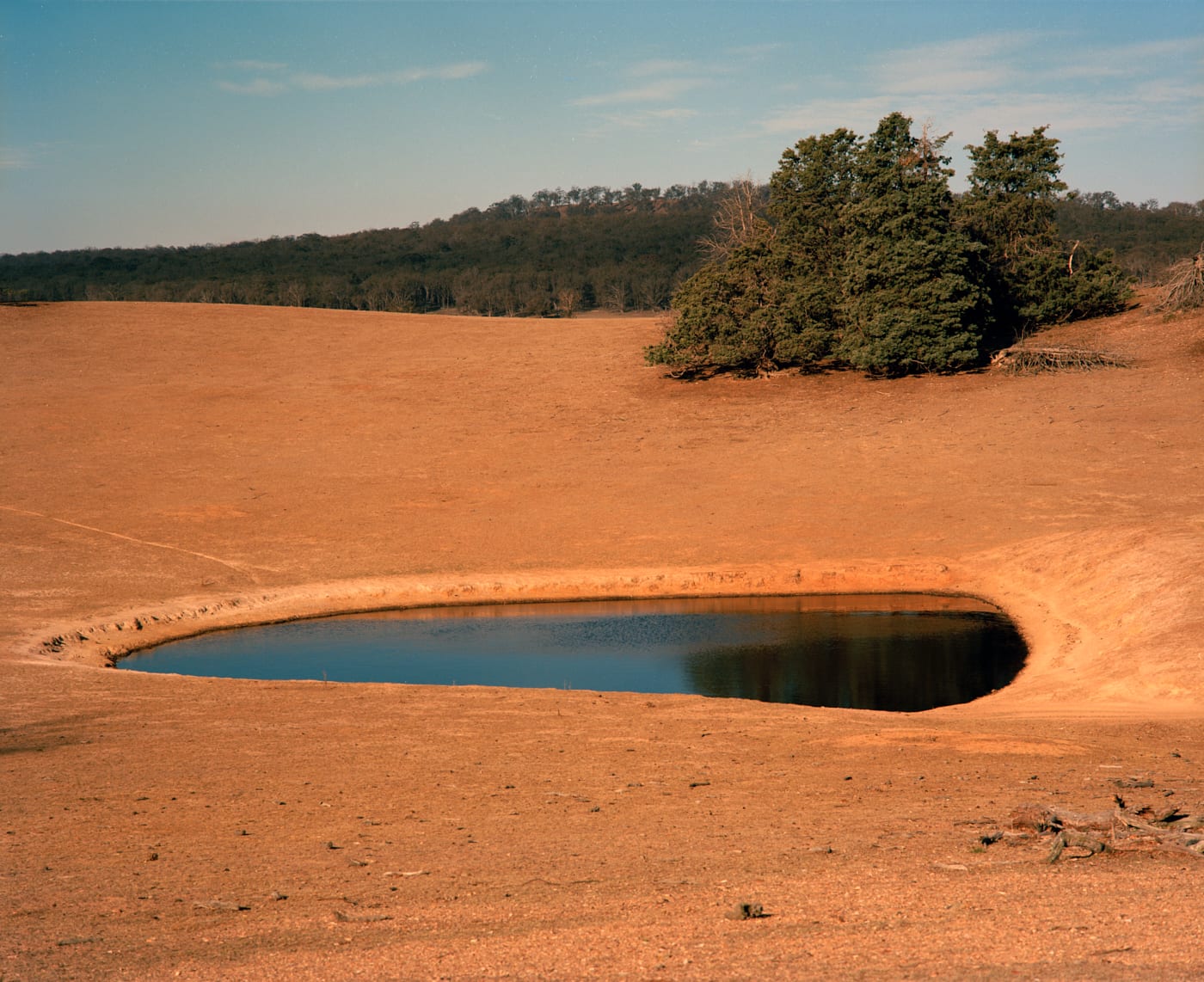 Vladimir Kravchenko, Walcha VIII, 2019
