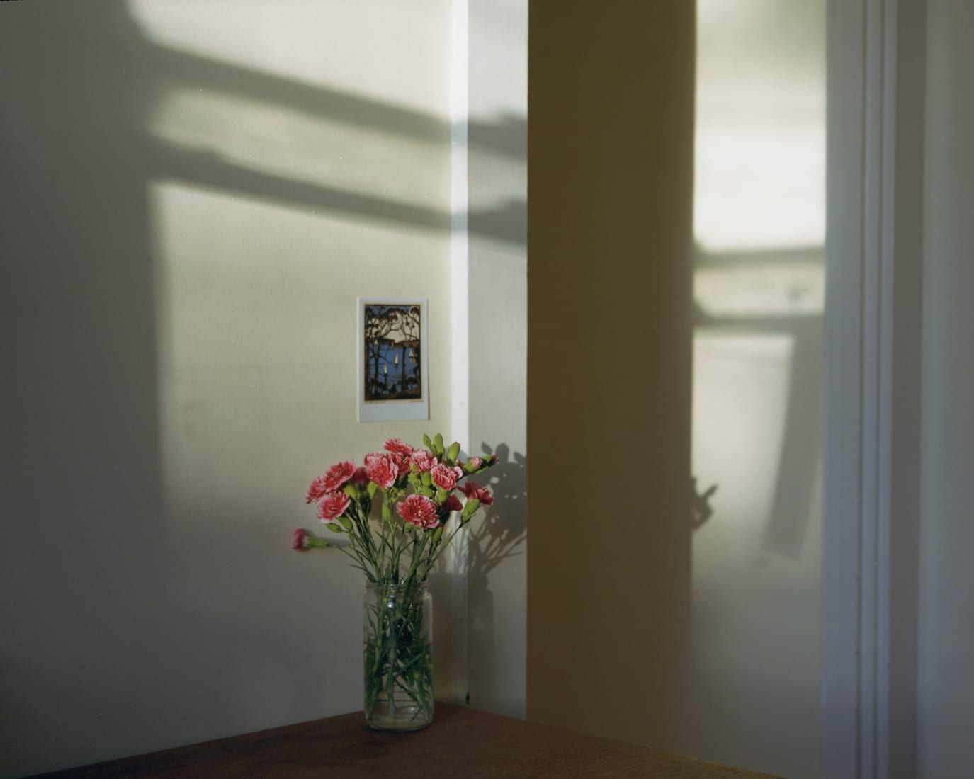 Vladimir Kravchenko, Carnation, 2019