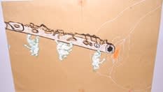 Sébastien Pignon Série des dessins-enveloppes crayon, feutre, aquarelle et encre sur papier 24 x 35 cm