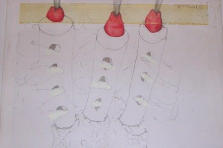 Sébastien Pignon, Série des dessins enveloppes, 2006