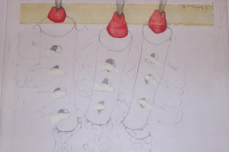 Sébastien Pignon Série des dessins enveloppes dessin au crayon, feutre, aquarelle et encre 12 x 17.6 cm