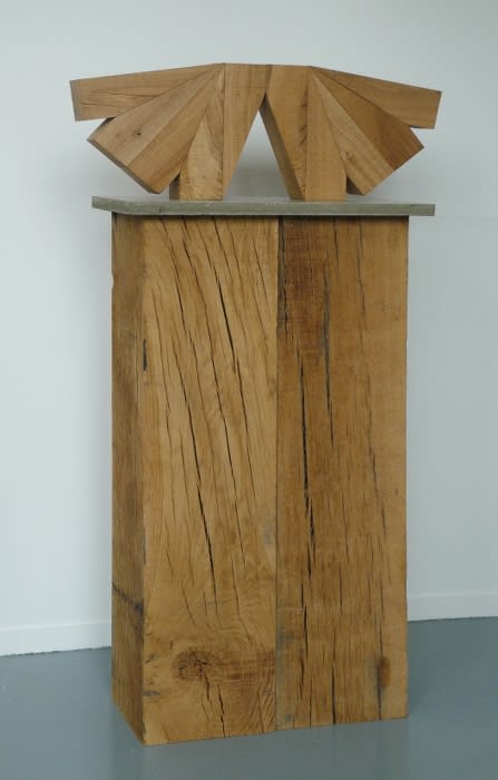 Raphaël Zarka, Prismatique (P5), 2013