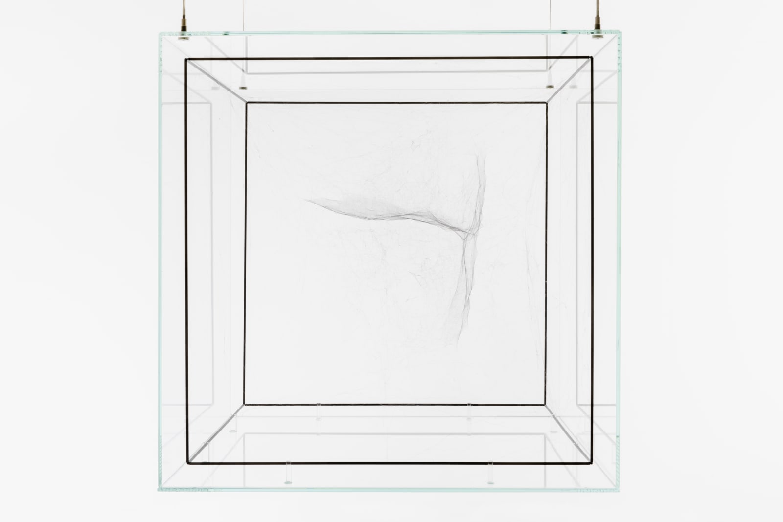 Tomás Saraceno, Hybrid Dark semi-social Cluster GJ 9160 built by: a solo Cyrtophora citricola - three weeks, rotated 90°, 2019