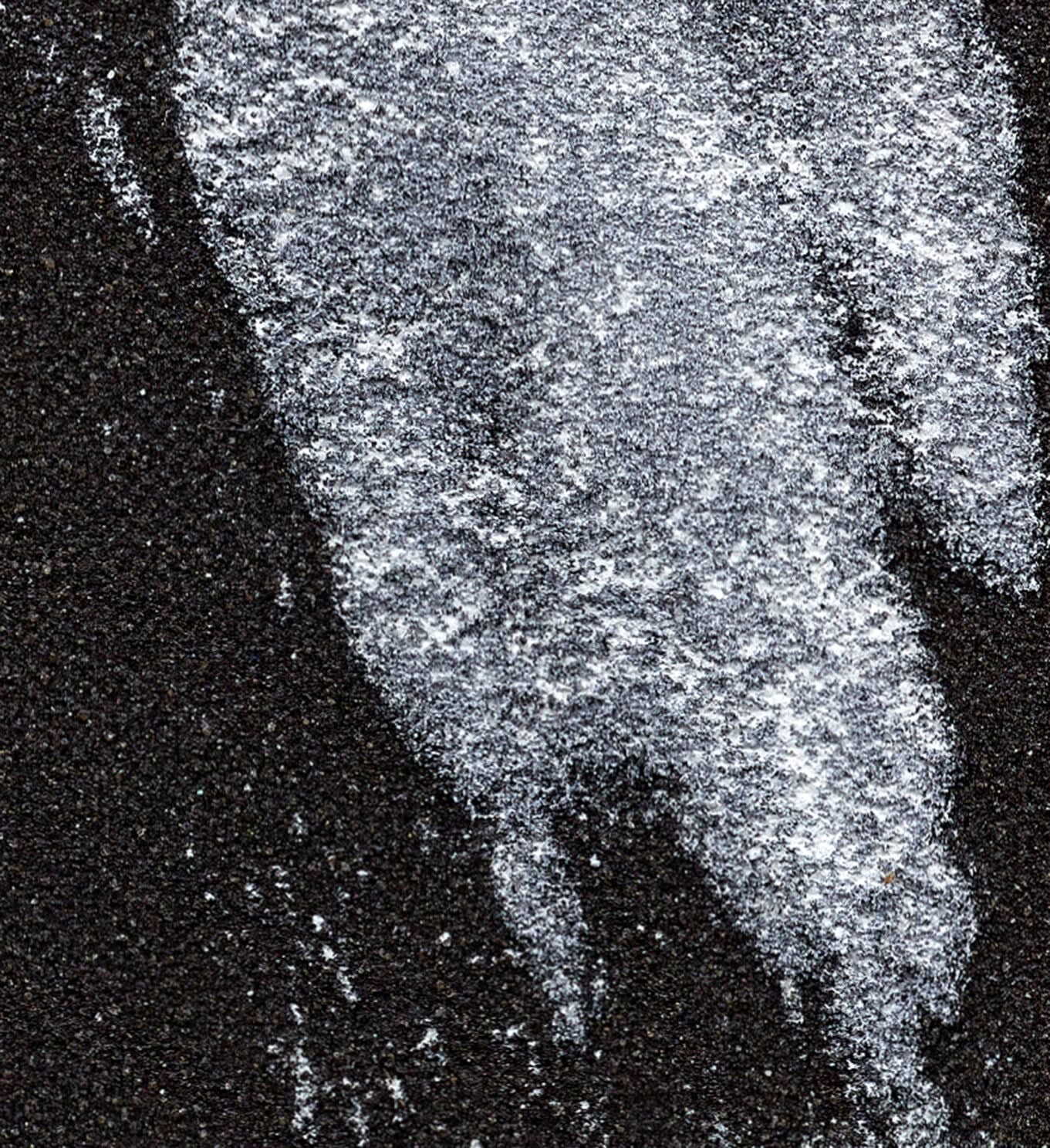 David Mohr, Array (2), 2016