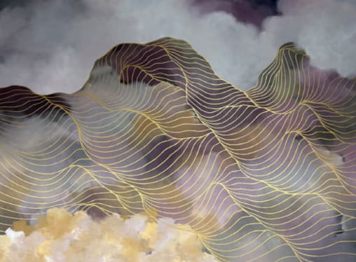 Tracie Cheng, In Bloom, 2025