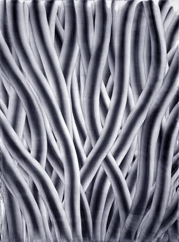 William Wood, Untitled, 2000 - 2004