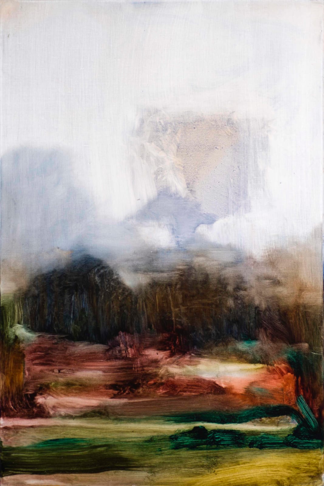 Johan Van Mullem, P20036, 2020