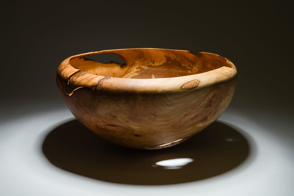 Anthony Bryant, Large Beech Vessel, 2025